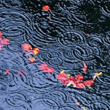 雨季對水體環(huán)境帶來的影響及應(yīng)對措施